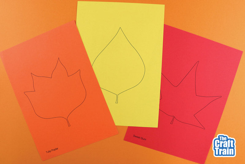 Leaf templates for Autumn or Fall