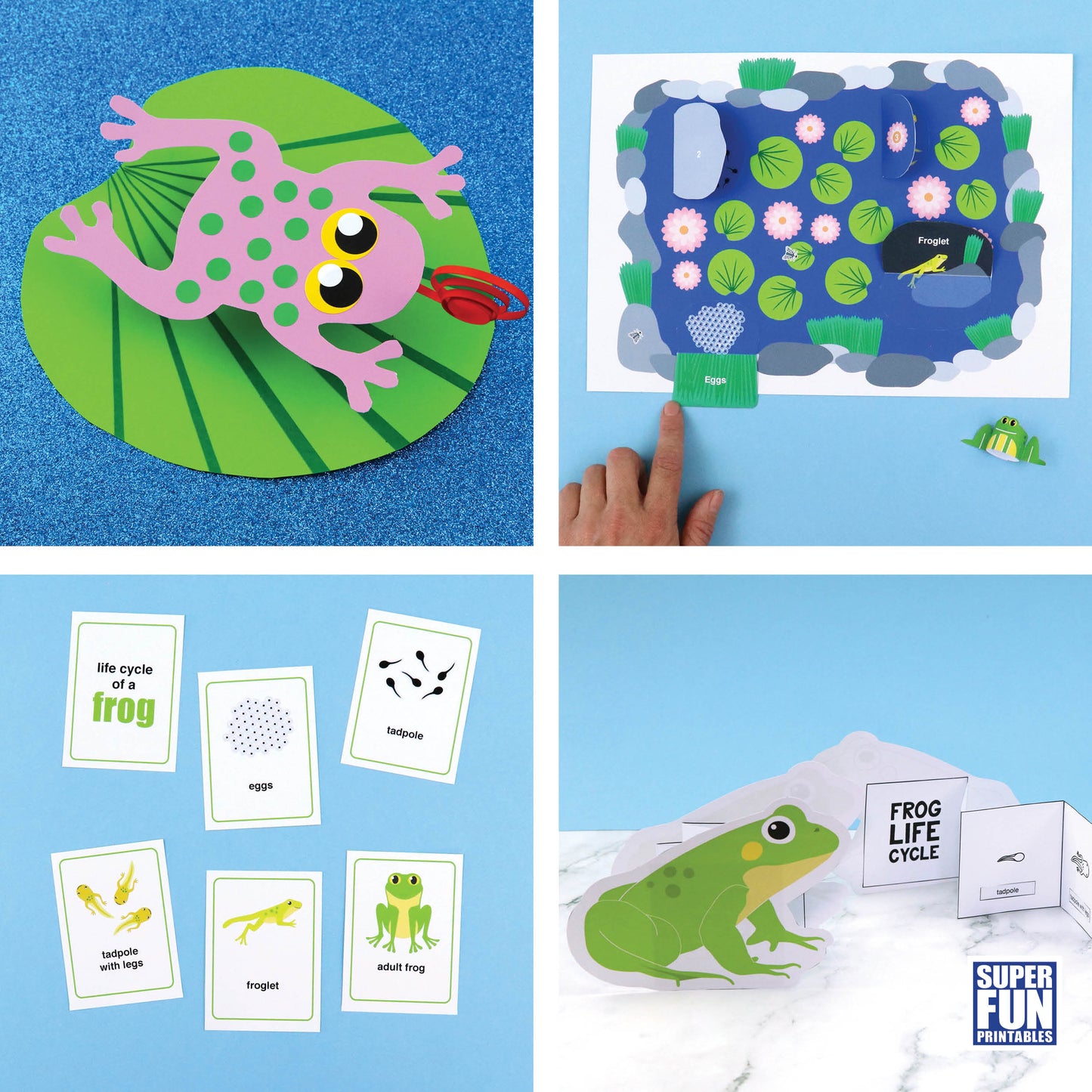 Frog Lifecycle Bundle