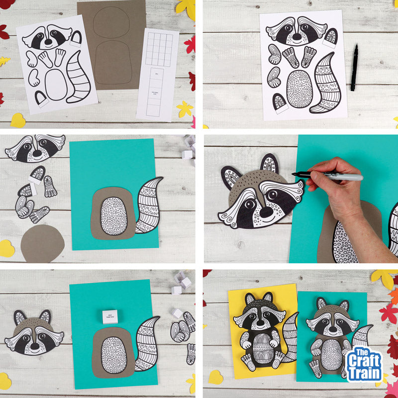 3D Pattern Art Raccoon