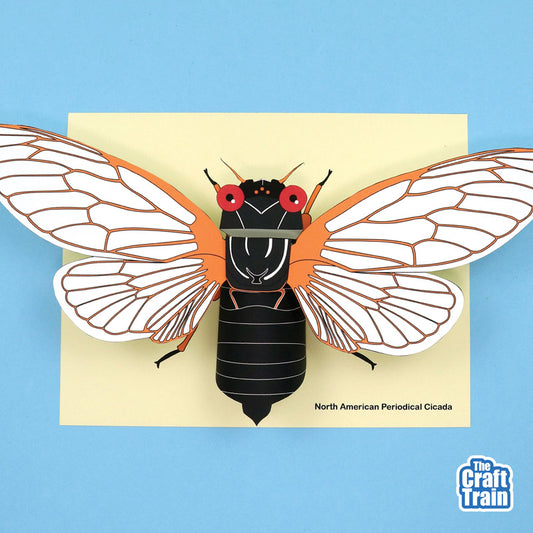 3D Paper Cicada
