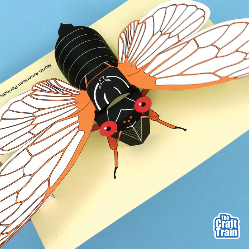 3D Paper Cicada