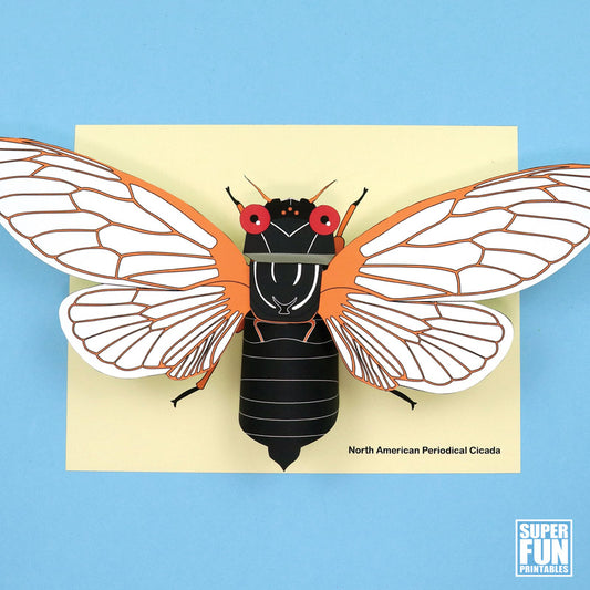 3D Paper Cicada