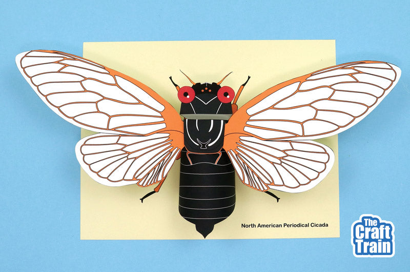 3D Paper Cicada