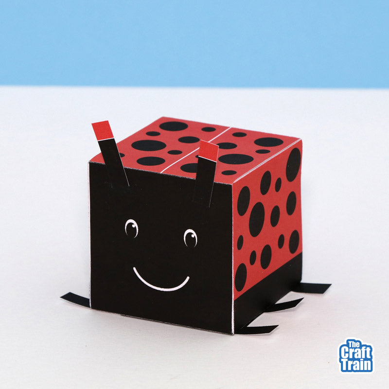3D cube bugs