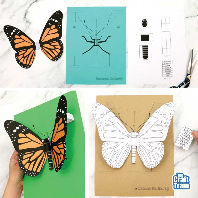 3D Monarch Butterfly craft