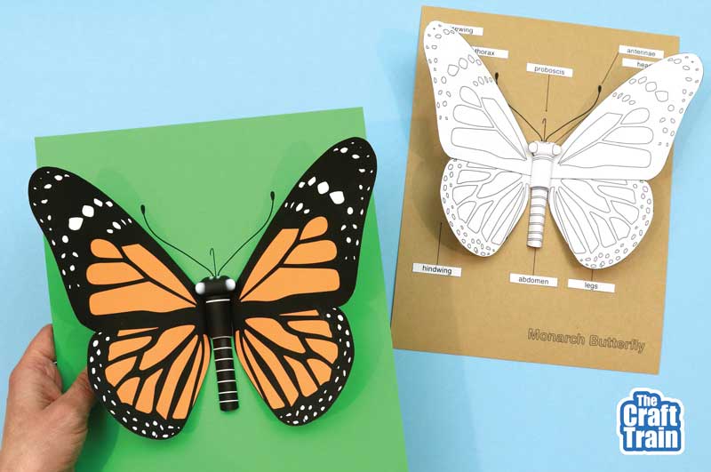 3D Monarch Butterfly craft