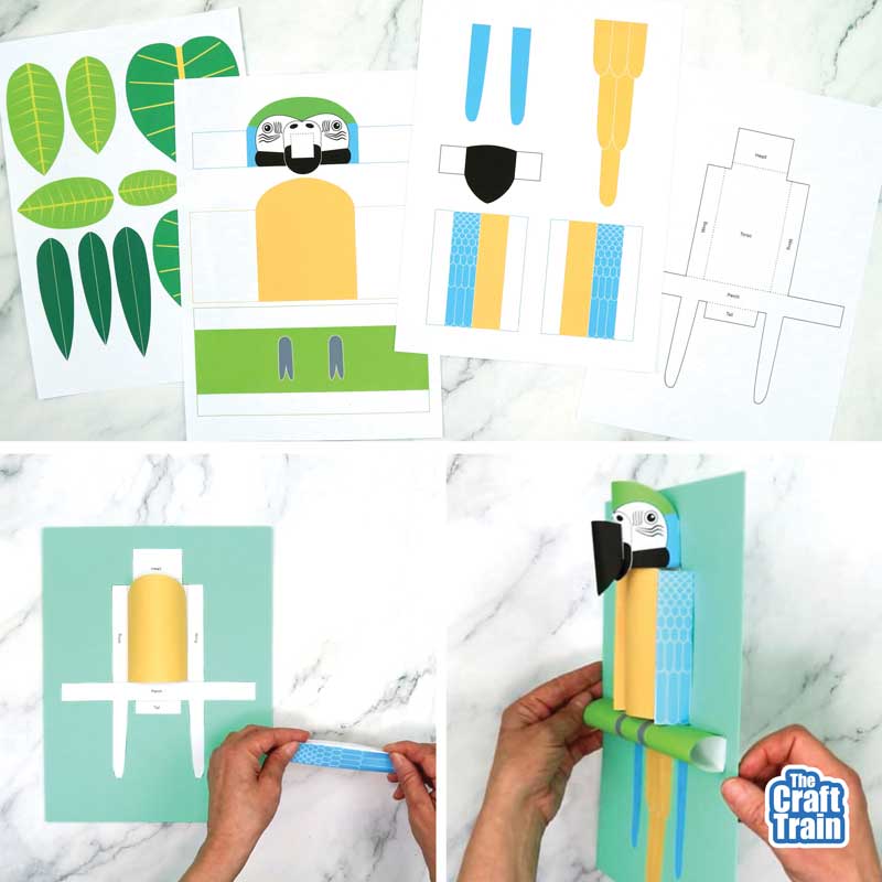 3D Macaw parrot craft
