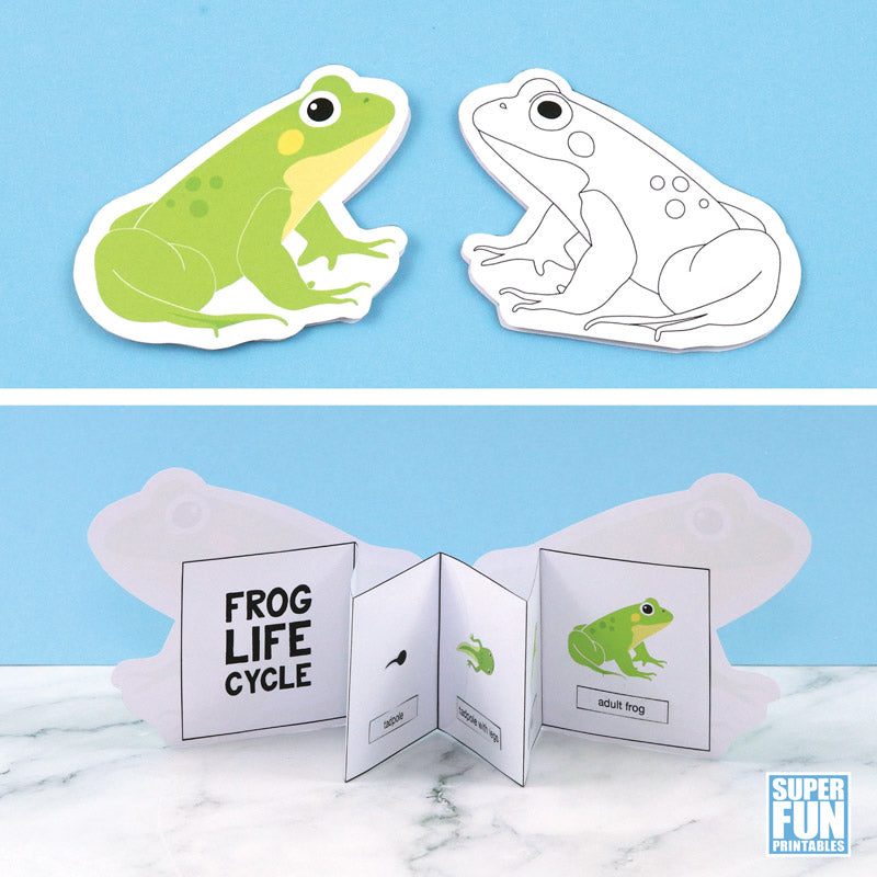 Frog Life Cycle Booklet