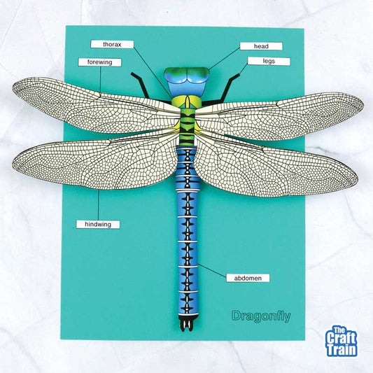 3D paper dragonfly