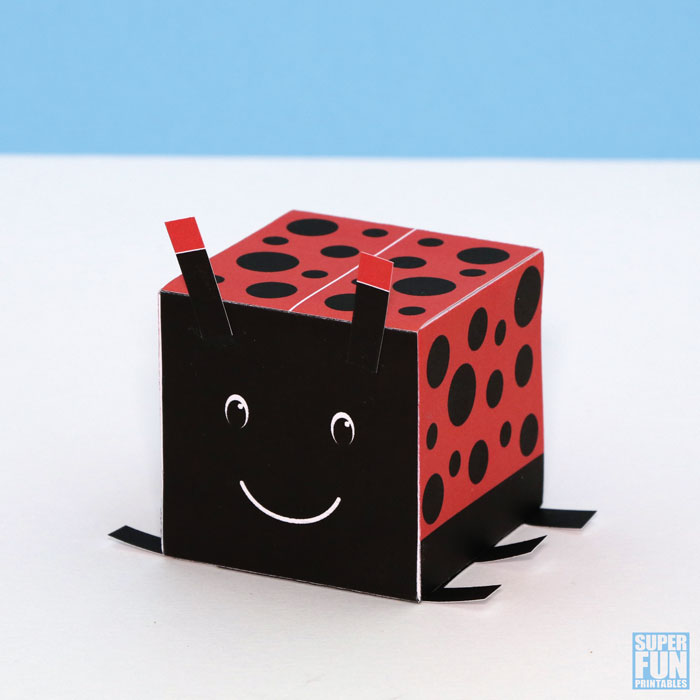 3D cube bugs