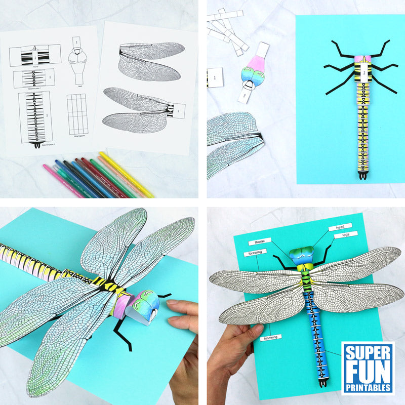 3D paper dragonfly