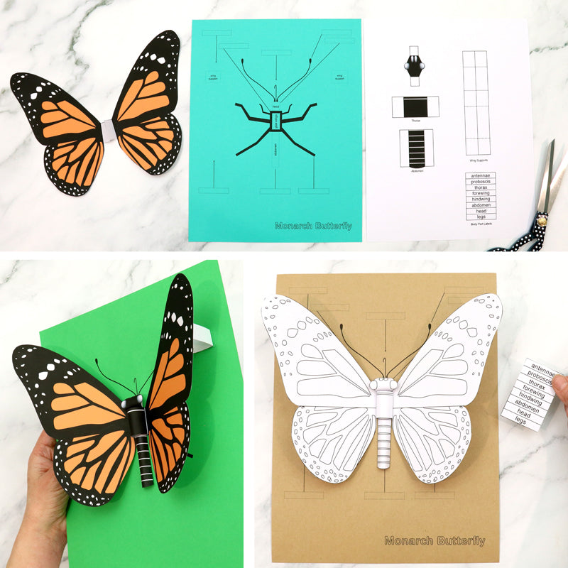 3D Monarch Butterfly craft – Super Fun Printables