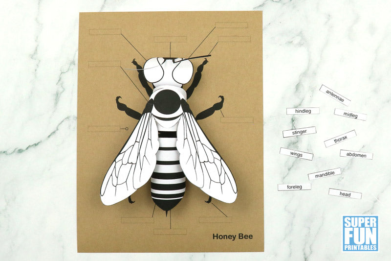 3D paper bee