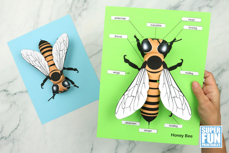 3D paper bee