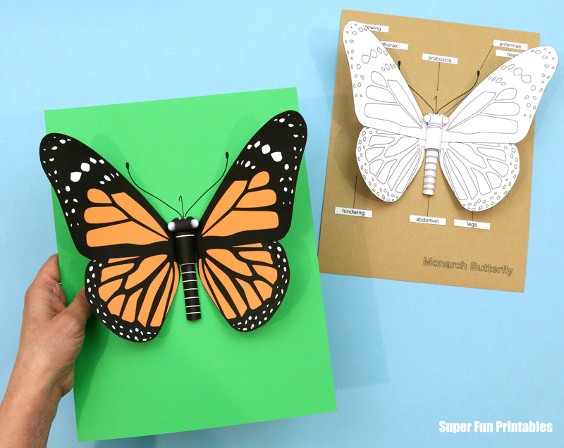 3D Monarch Butterfly craft